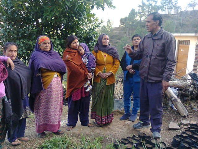 agro-forestry-12
